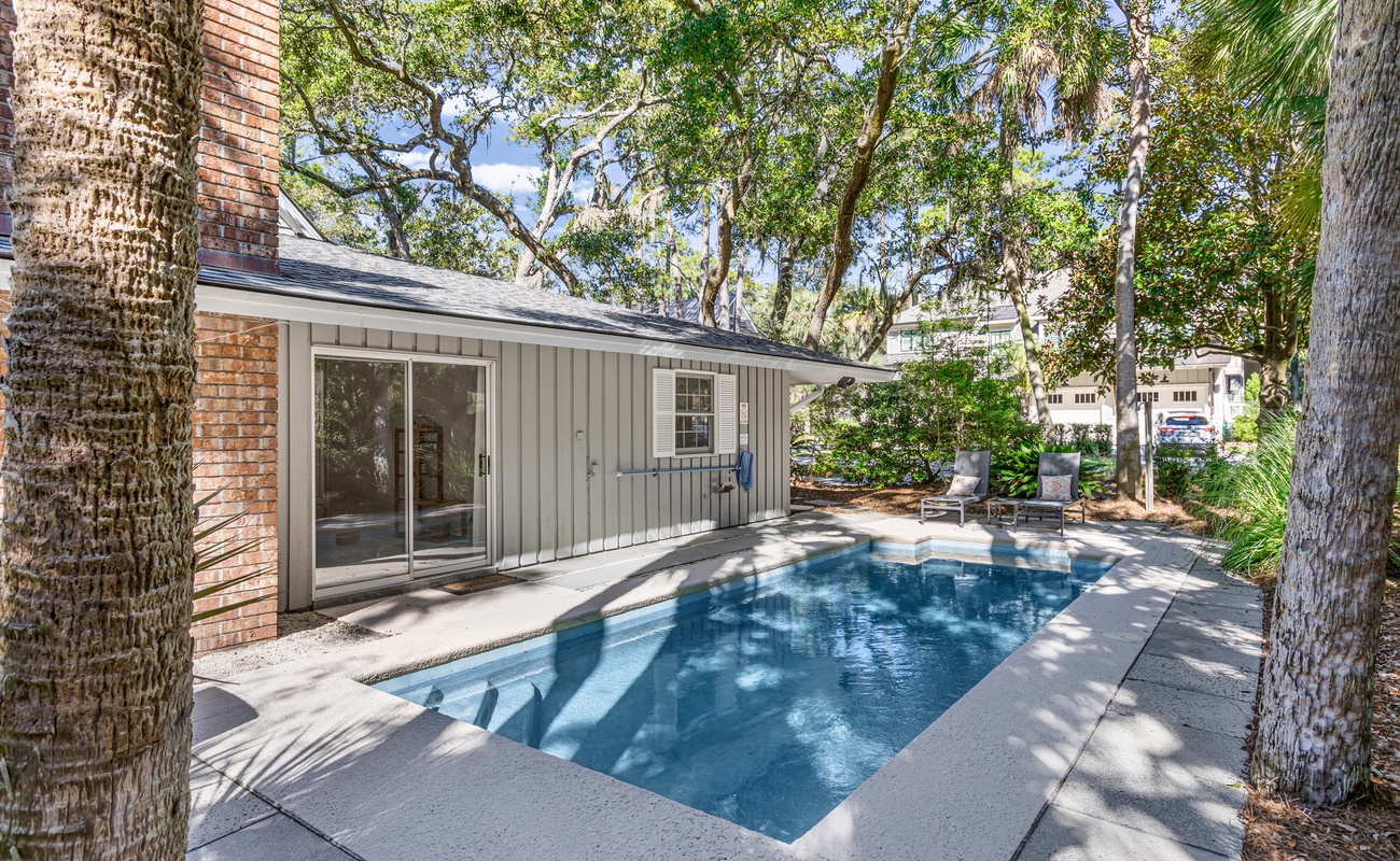 22 Surf Scoter Photo