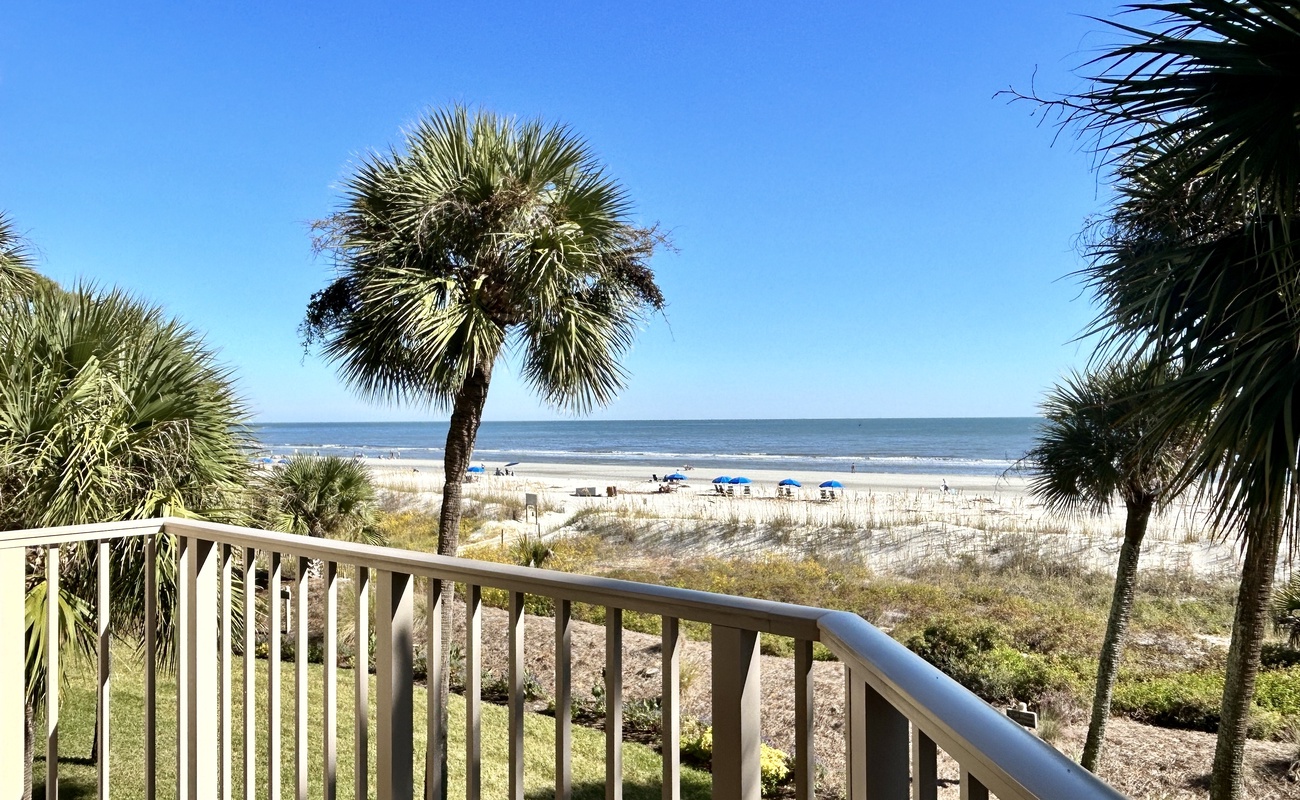 203 Turtle Lane Photo