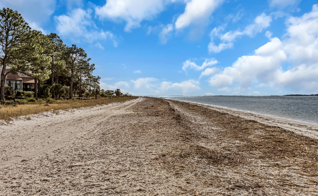 Pristine sandy beach stretches along calm waters with nearby vacation homes nestled among coastal trees.