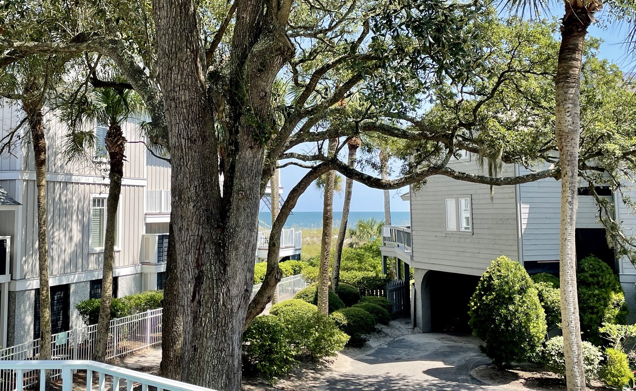 Ocean Views from Pool Deck