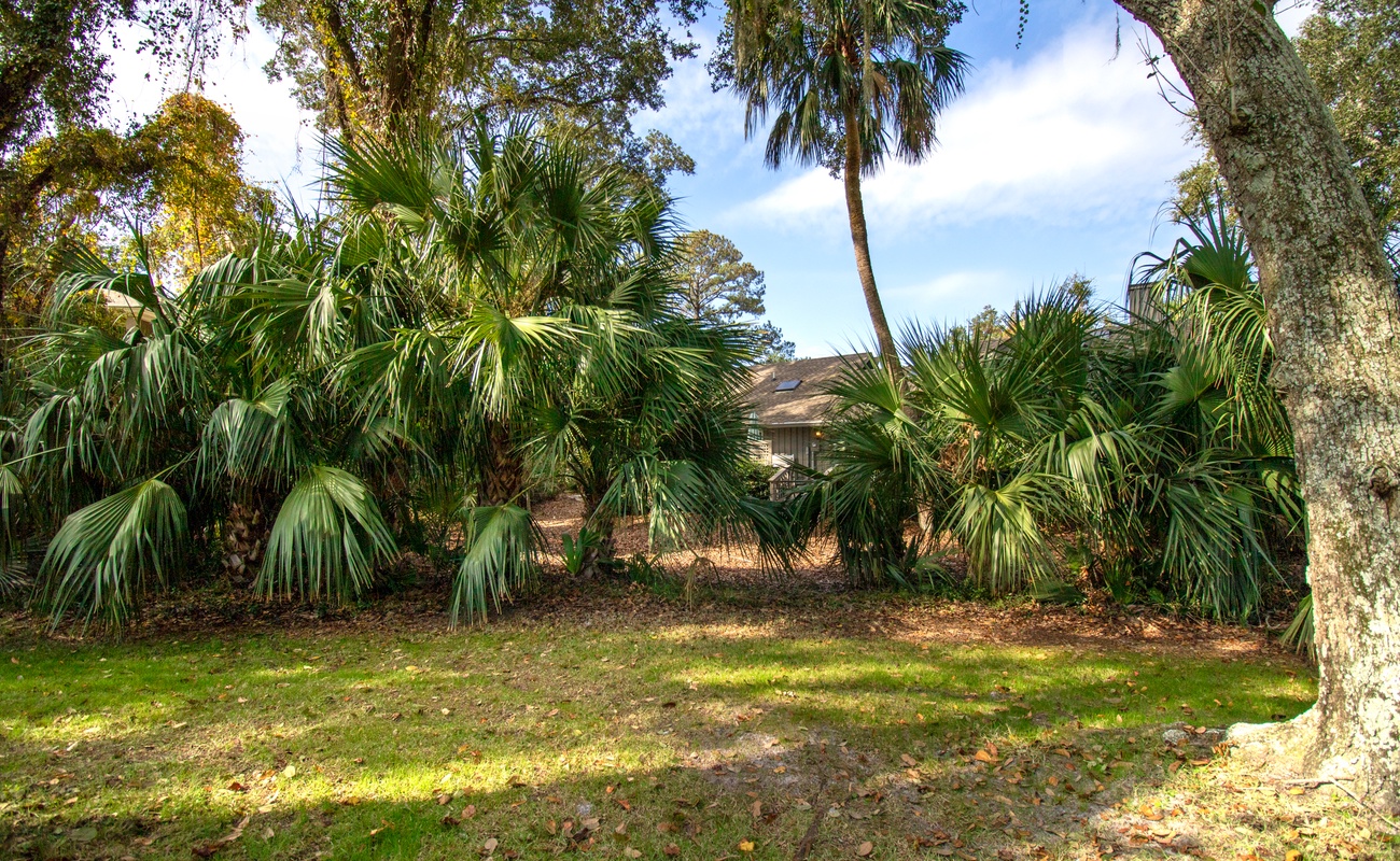 View of Home from Golf Course
