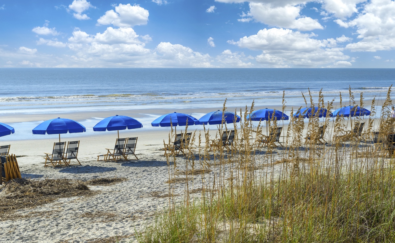 Pristine beach with blue umbrellas, comfortable lounge chairs, and natural sea oats creating the perfect coastal retreat.