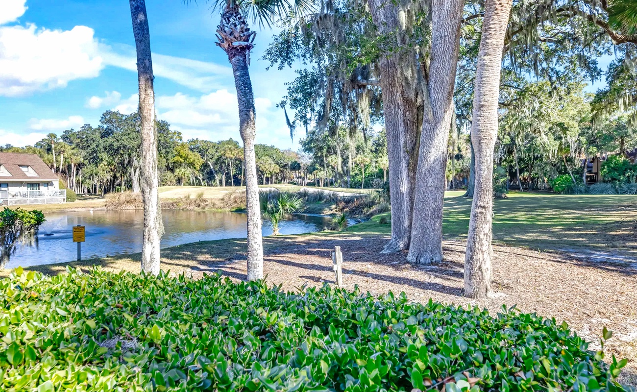 Serene waterfront setting with towering palms and Spanish moss creates a peaceful natural backdrop for your Florida getaway.