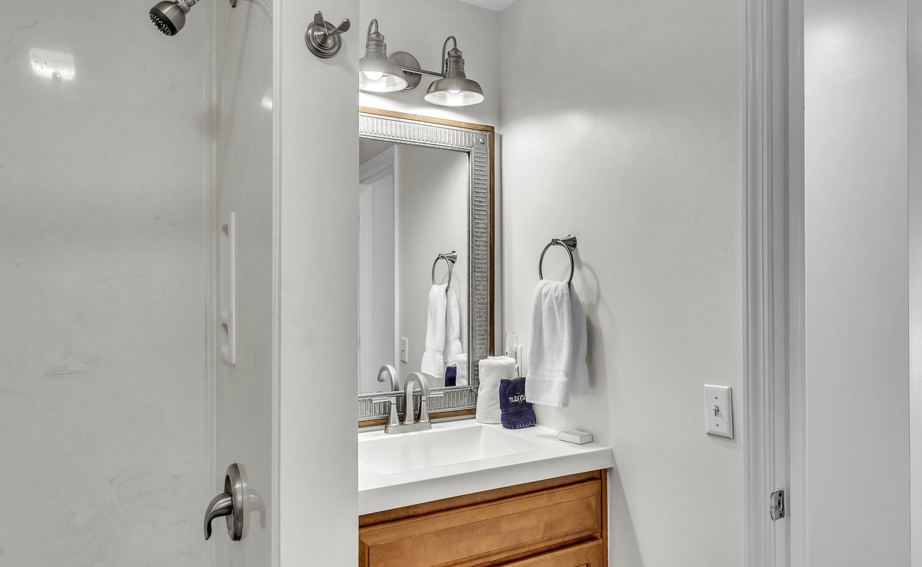 Downstairs Guest Bathroom