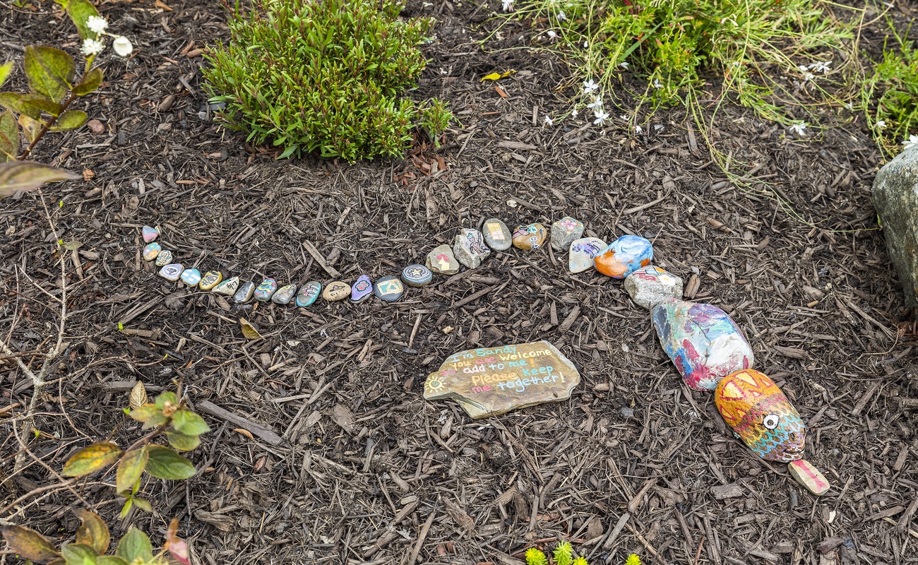 Meet Sandy! We hope you'll have fun adding to her story.