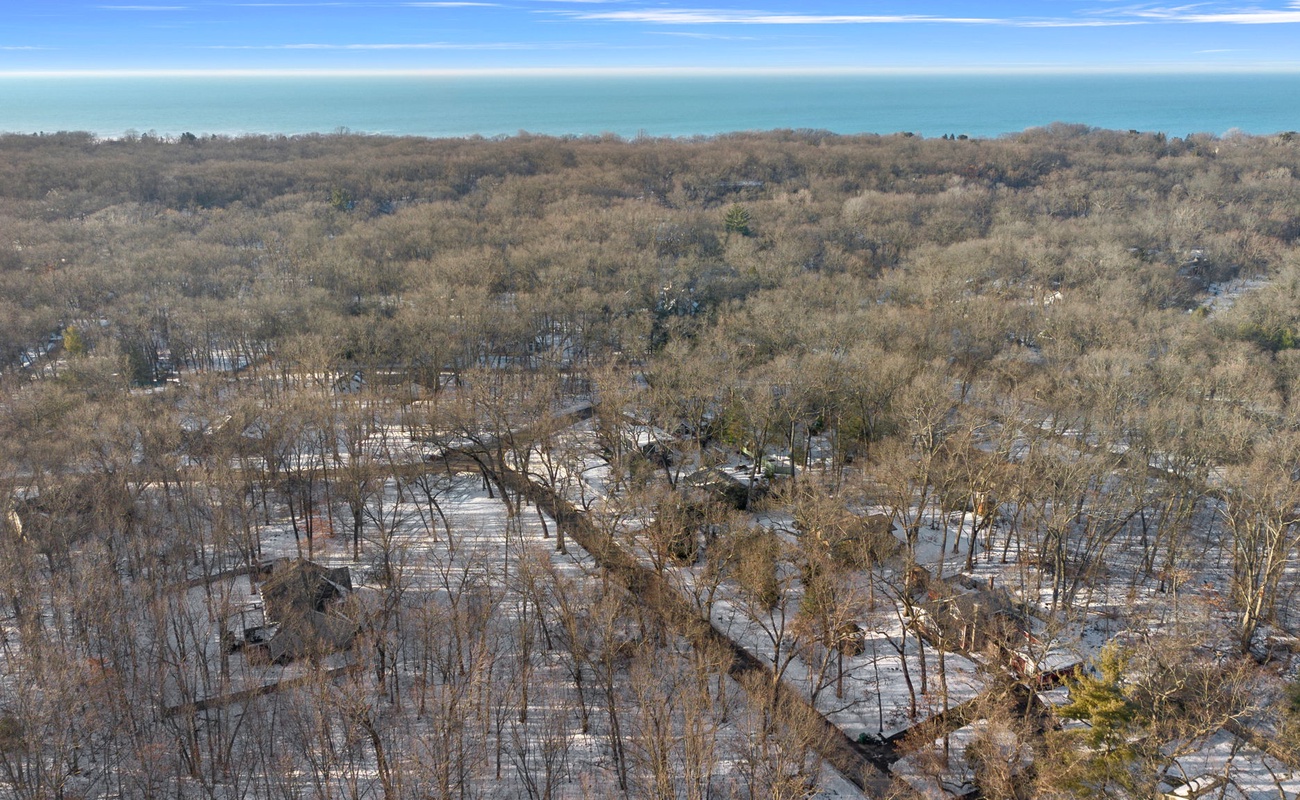 Snowy forests meet endless blue horizons.