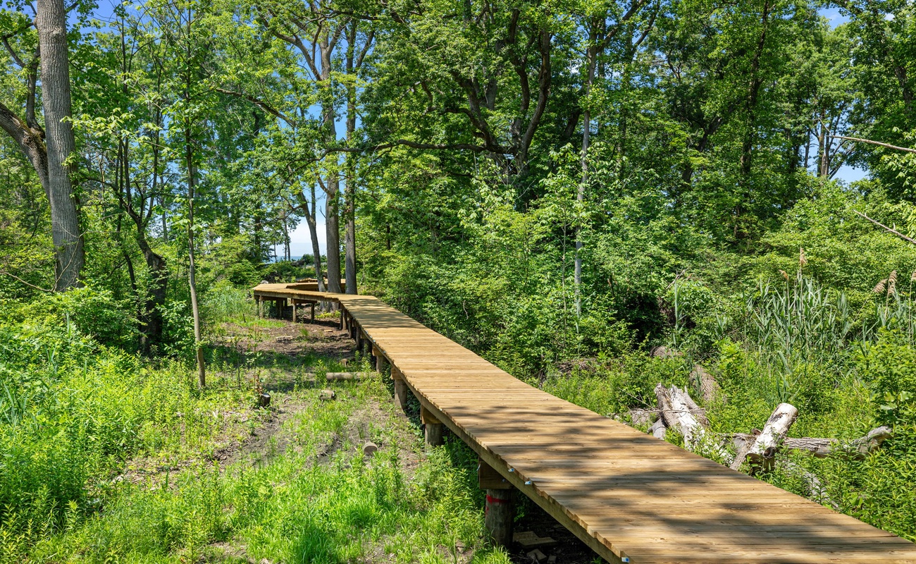 Where the whispers of the trees guide my steps..