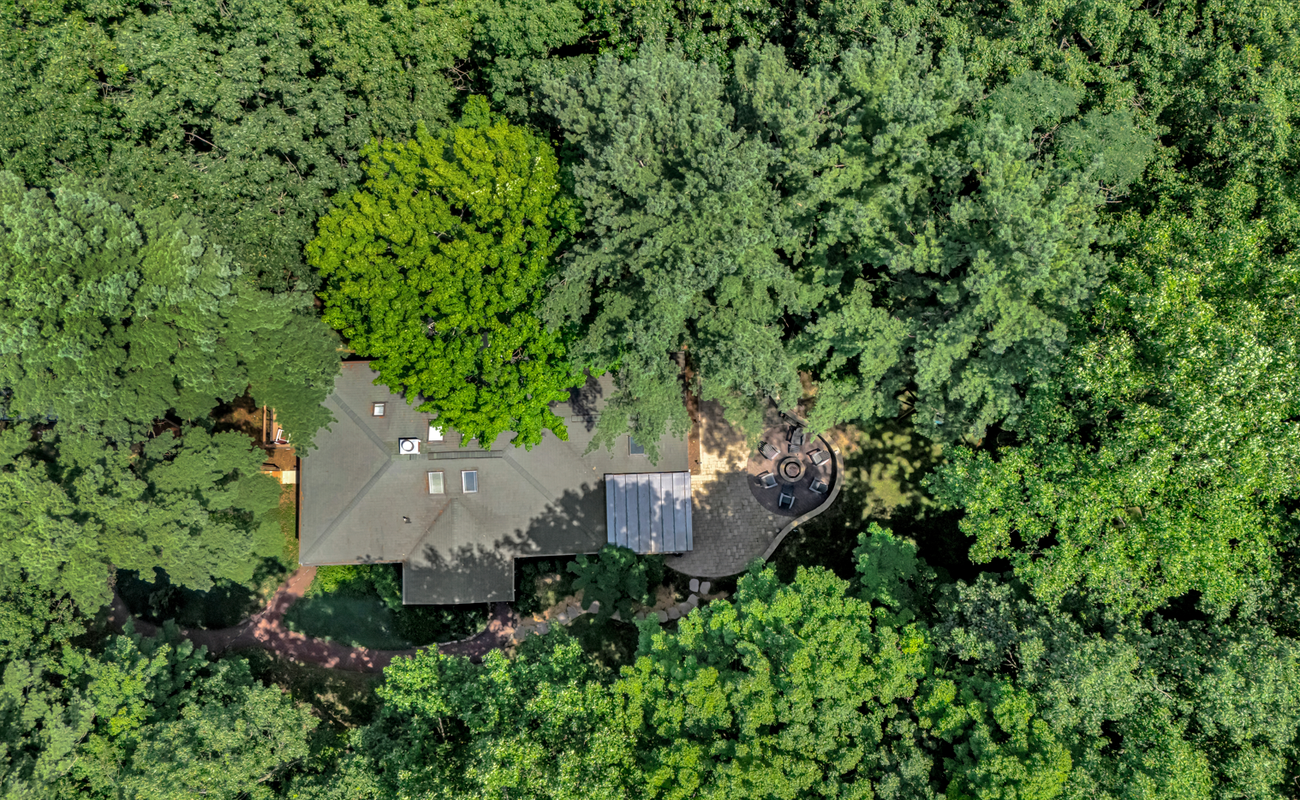 Treetop view of Wonderwood Cottage.