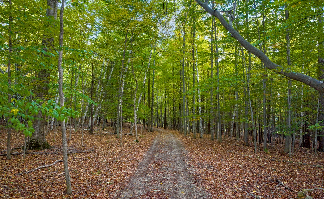Our property is very private, accessible only by a gravel road.