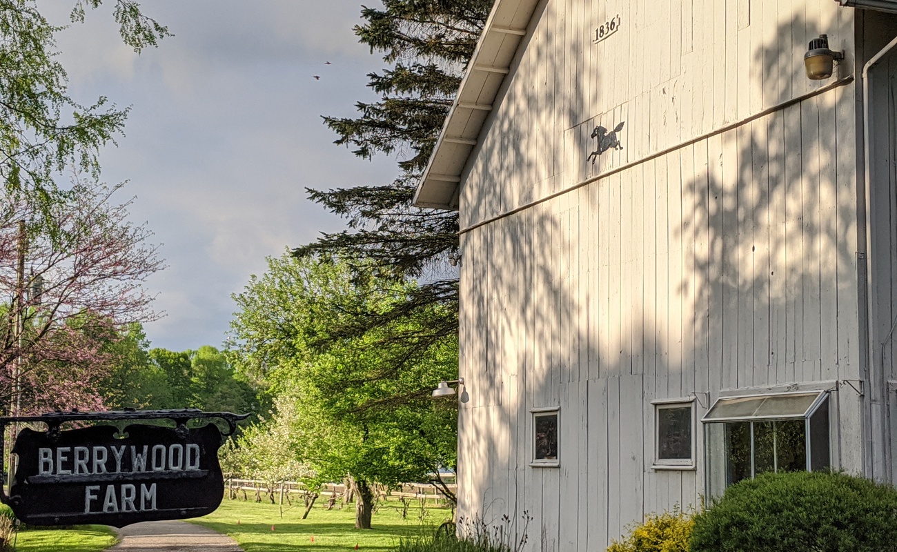 Begin your Berrywood Farm stay with a scenic stroll down the orchard drive.
