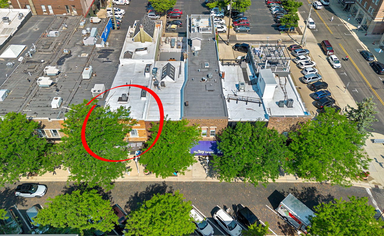 Strolling through the treetops—rooftop style!