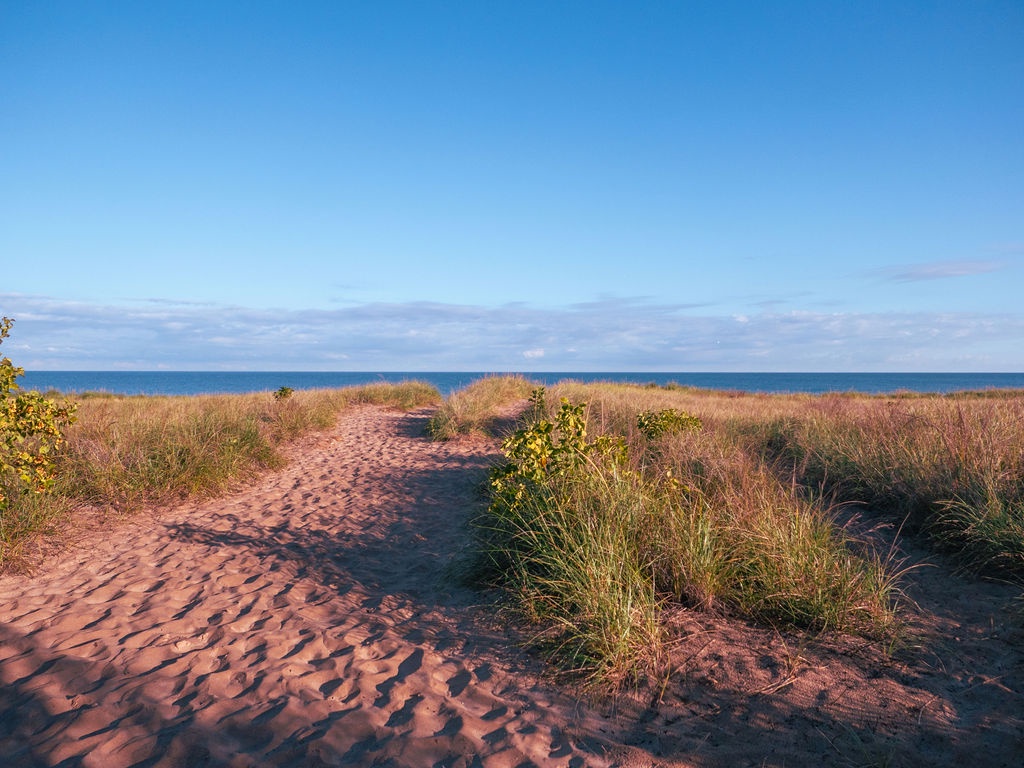 A sandy path winds through coastal dunes towards Lake Michigan.