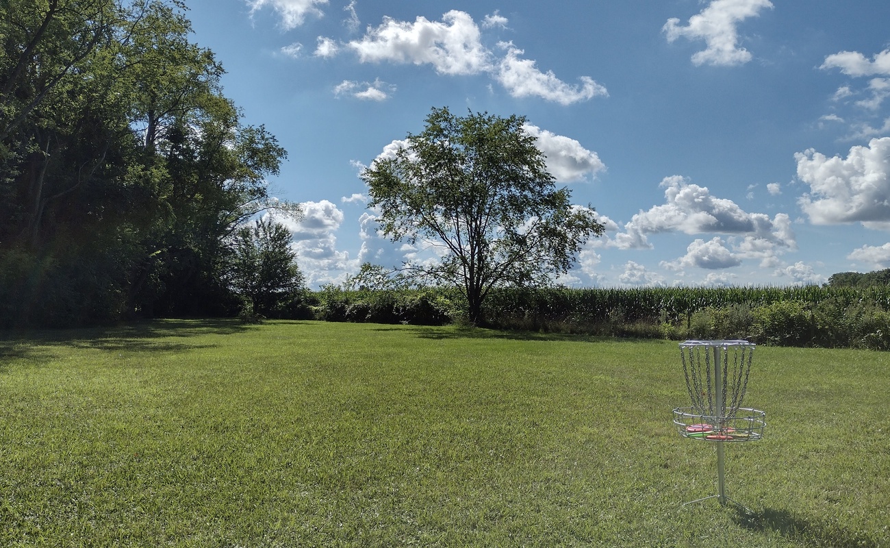 Field-to-forest disc golf moments at Berrywood Farm.