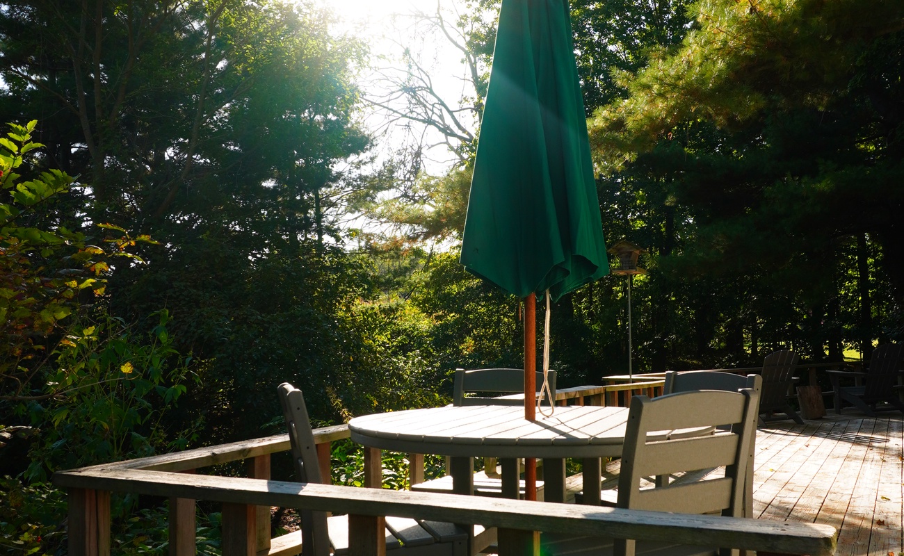 Sunlit deck moments at The Cottage, perfect for slow mornings.
