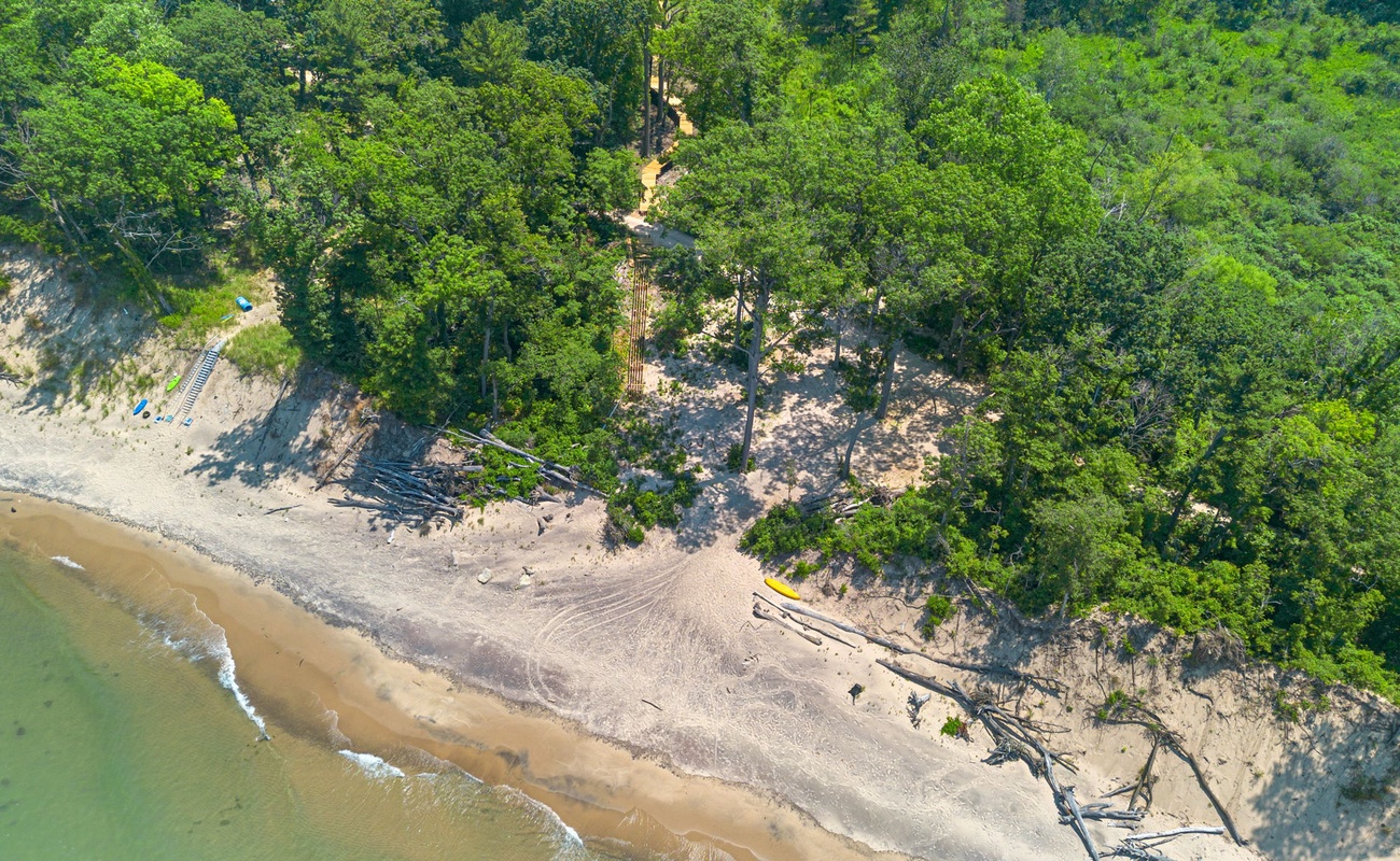 Beach vibes and forest dreams from up high.