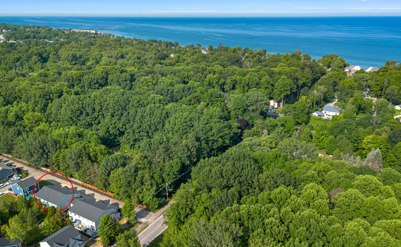 The best kind of neighbors: trees and sea breezes!