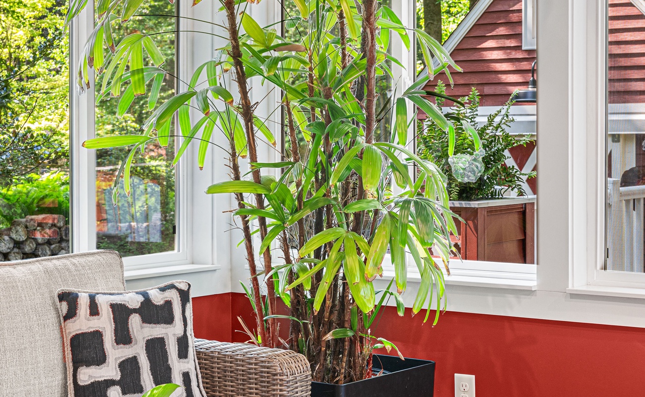 This couch is 100% for lounging, daydreaming, and occasionally pretending to read.