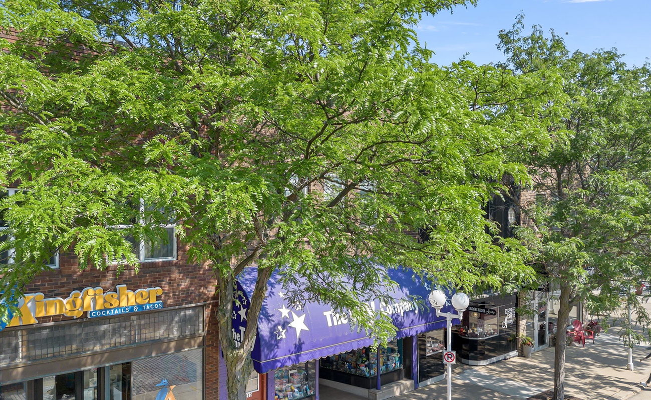 Exploring the neighborhood on a sunny day!
