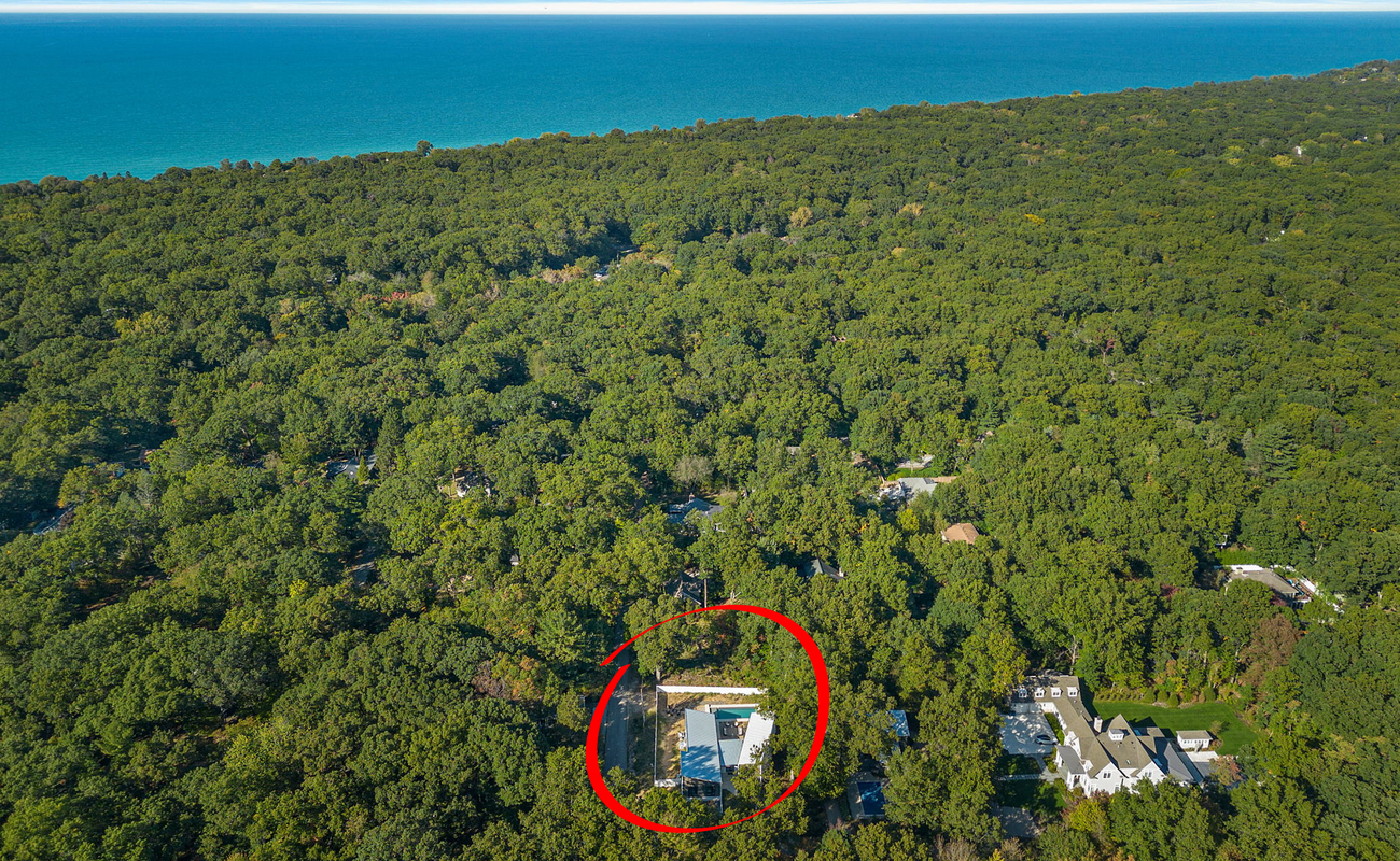 Lost in the treetops, but never too far from the shore.