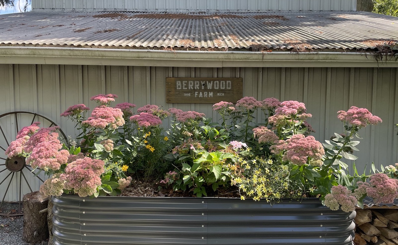 A touch of country color at the Berrywood Farm garden.