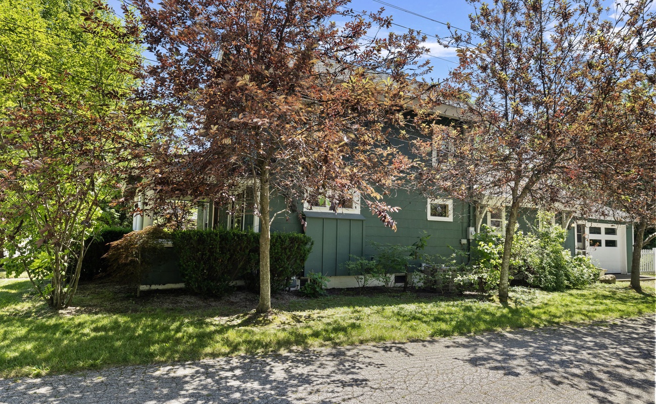 Embracing the serenity of nature. These trees create the perfect canopy for a peaceful day at home.