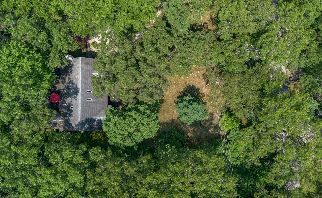 A hidden gem surrounded by a sea of green.