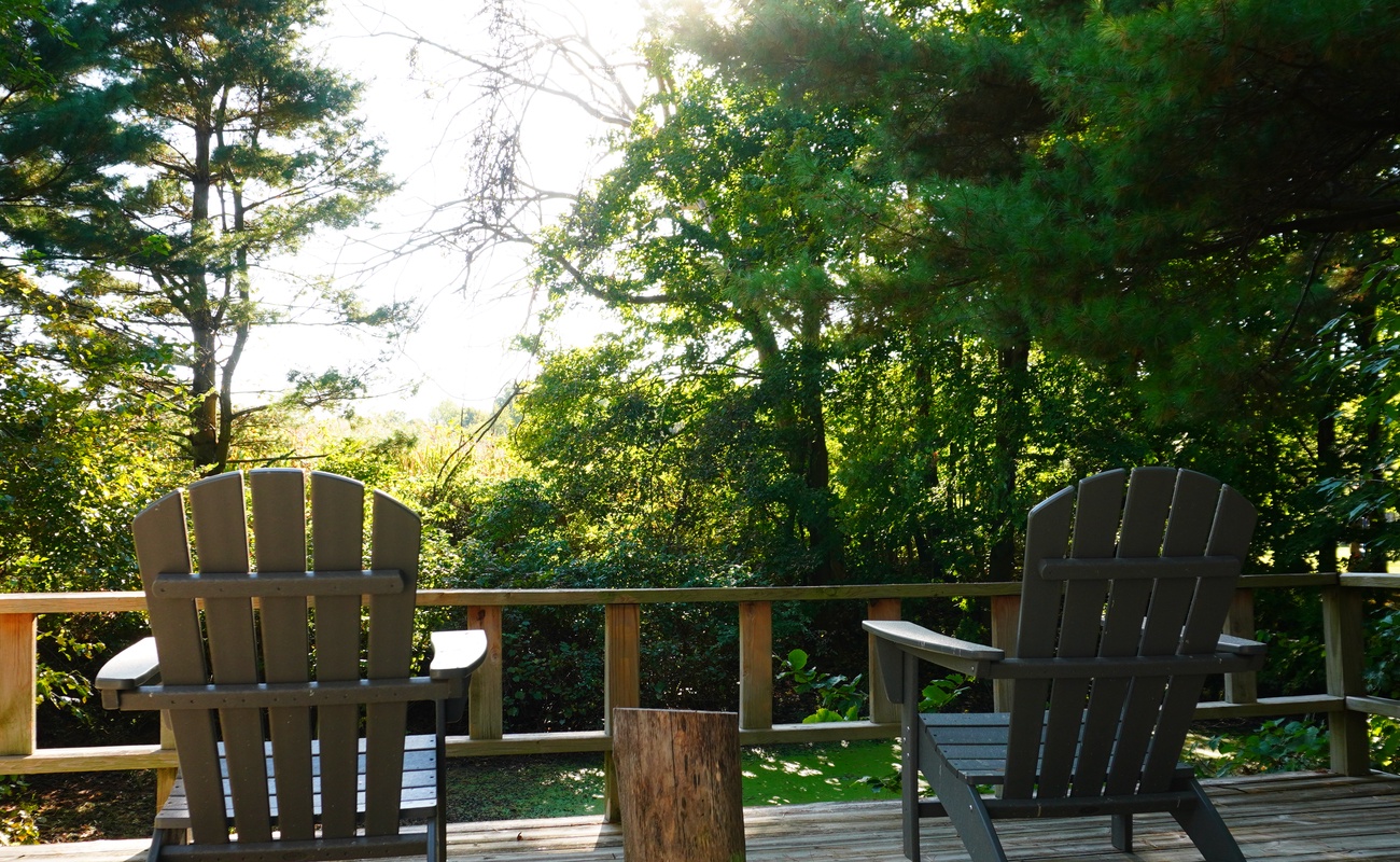 Peaceful forest views from The Cottage relaxing deck chairs.