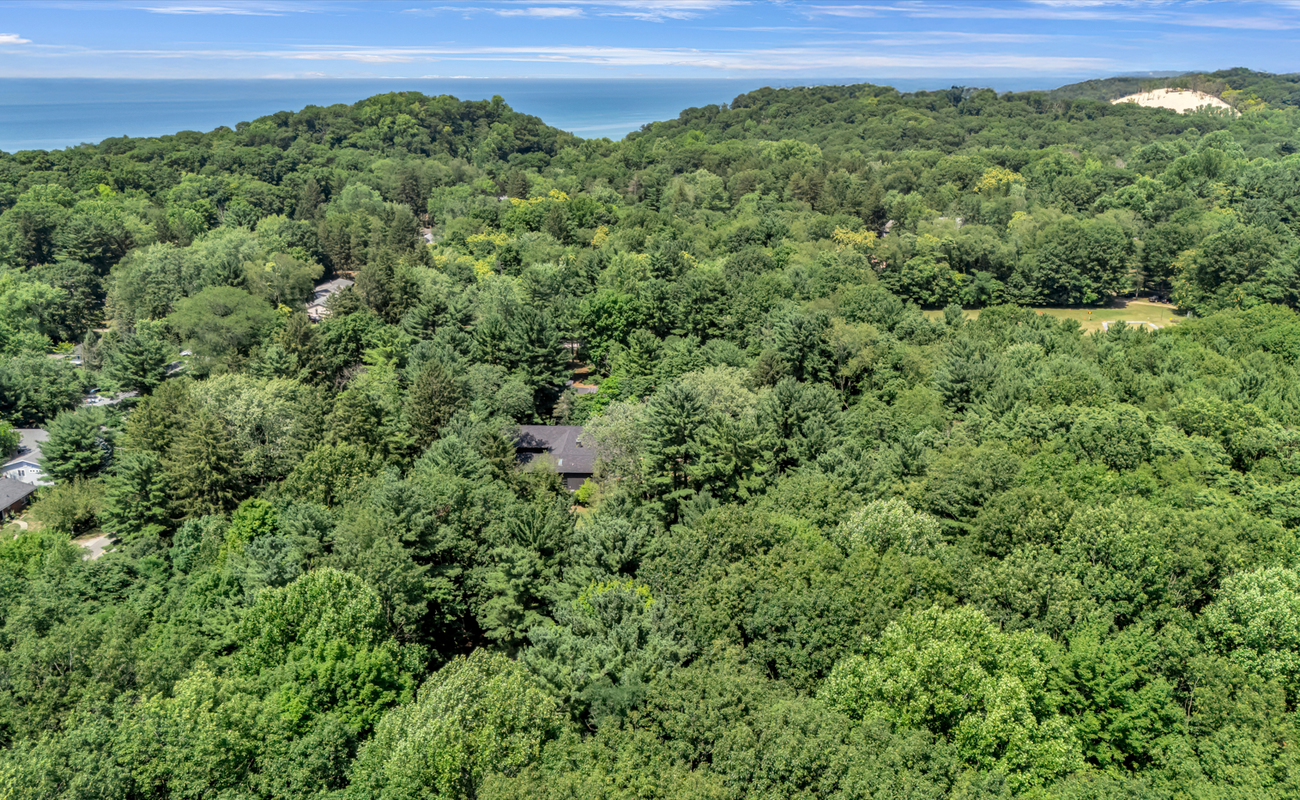 Wonderwood Cottage tucked in trees, steps from lake and dunes.