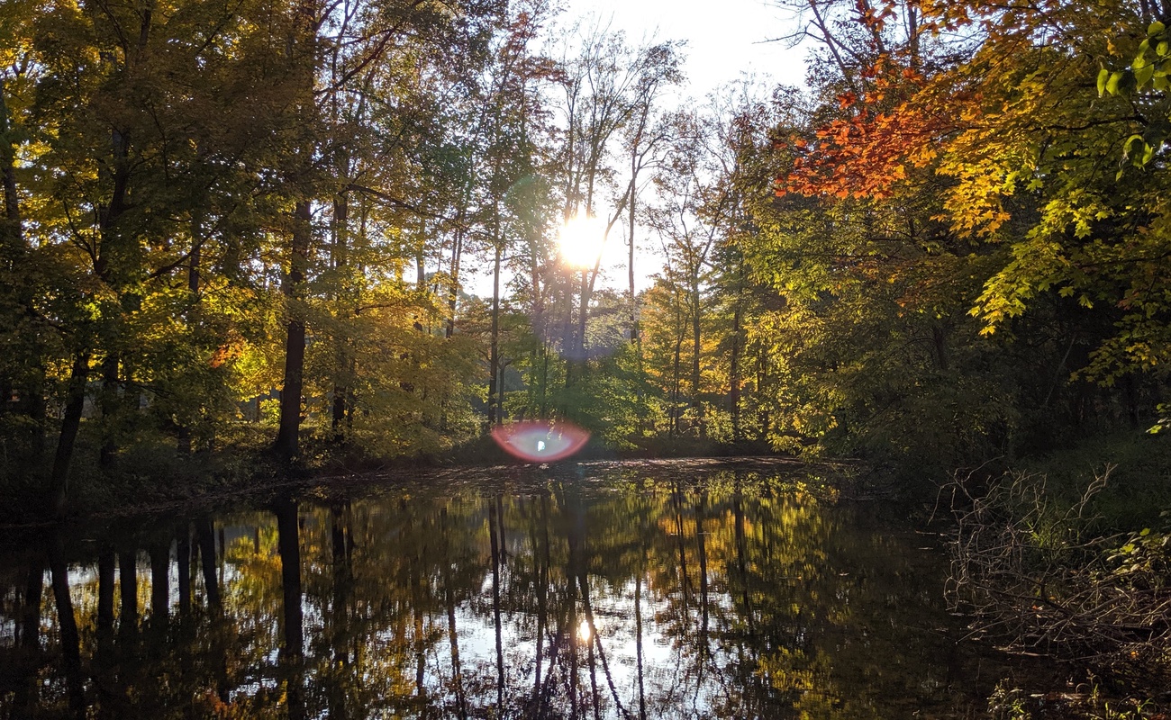 Relax by the still pond and wander Berrywood Farm’s peaceful forest paths