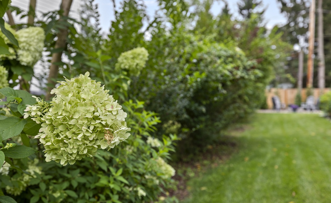It's the little touches that make a yard beautiful.