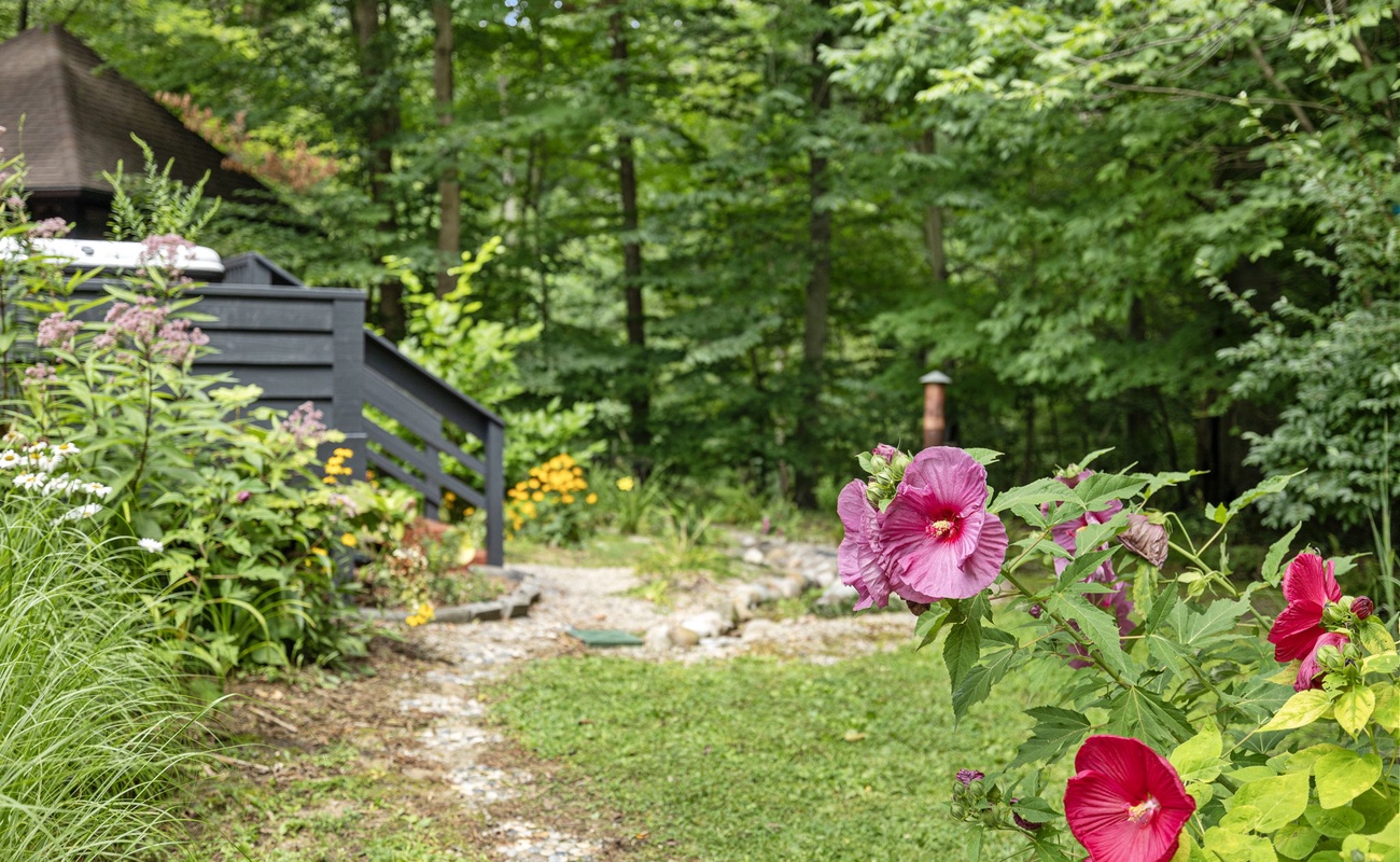 Nature's canvas painted with blooms and a touch of whimsy!