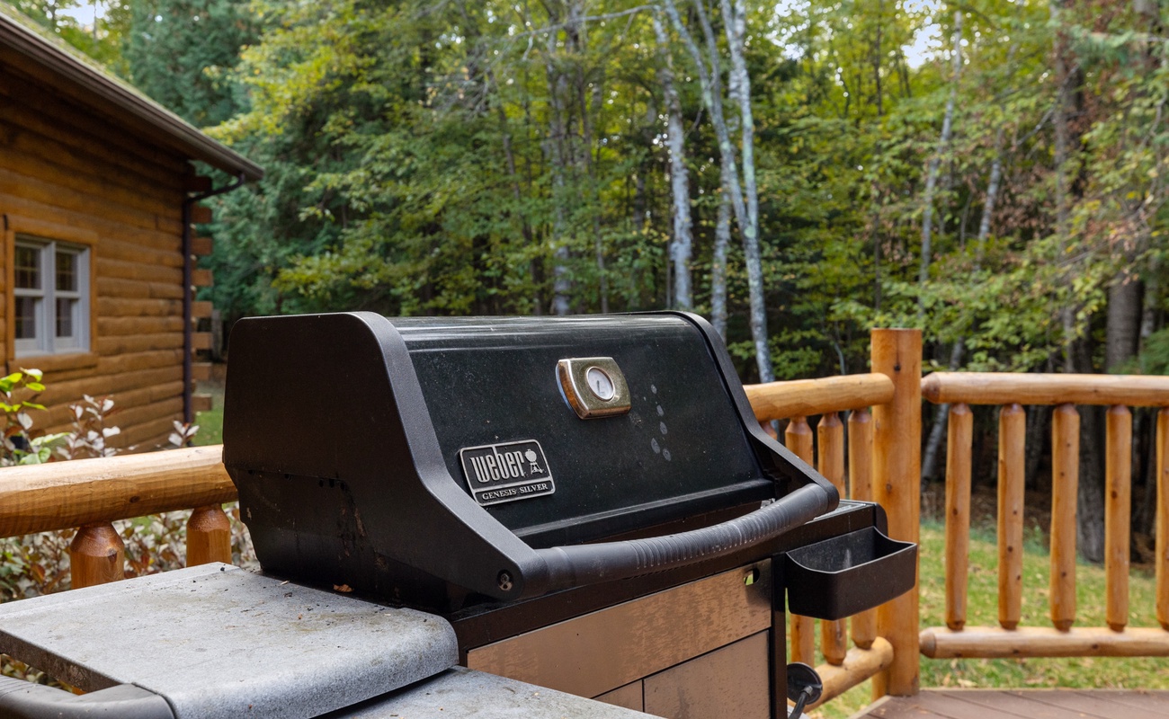 Steaks, dogs, burgers or shish-ka-bobs for dinner?