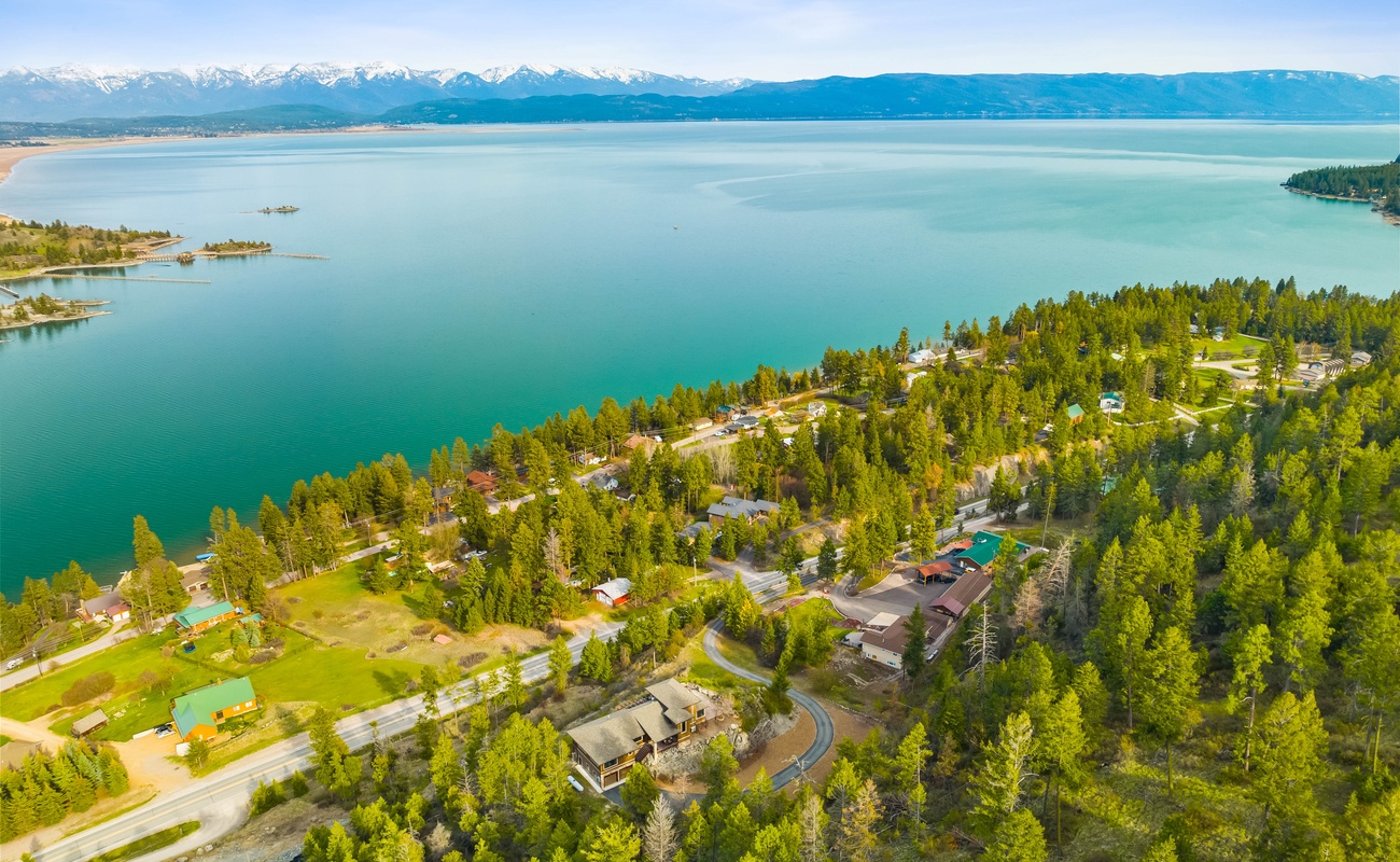Lake views so dreamy, even the trees are jealous!