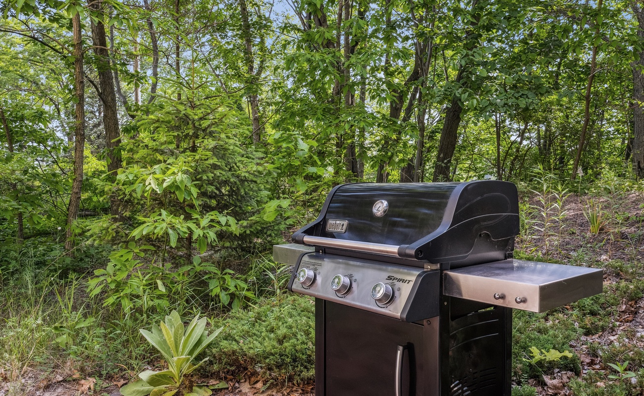 Woodland views, summer sizzles, and BBQ vibes.