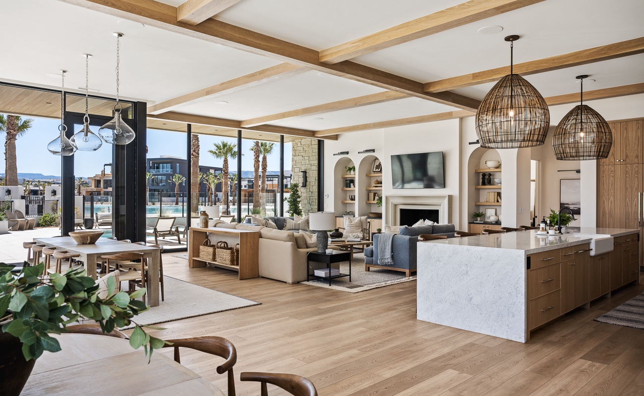 Living and Kitchen Area