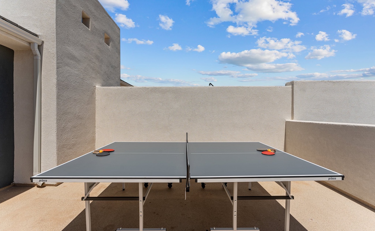 Ping Pong Table