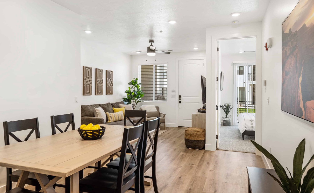 Kitchen / Living Artea