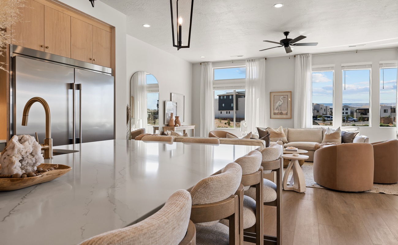 Kitchen and Living Space