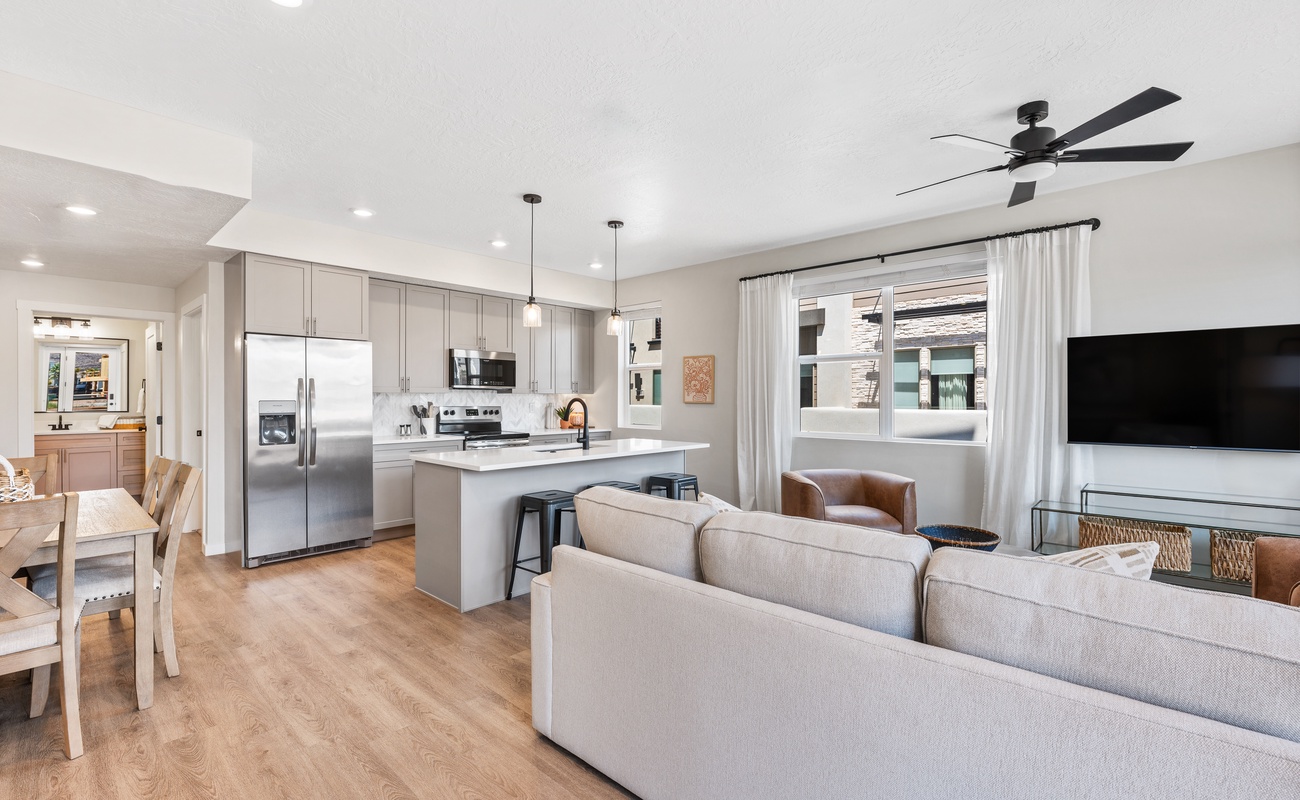 Living Room / Kitchen Area