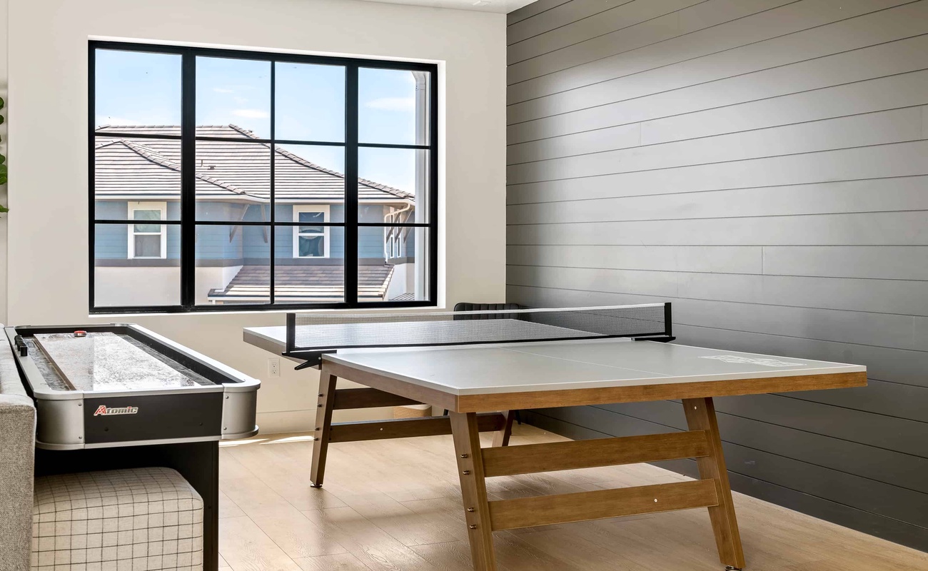 Ping Pong / Shuffleboard