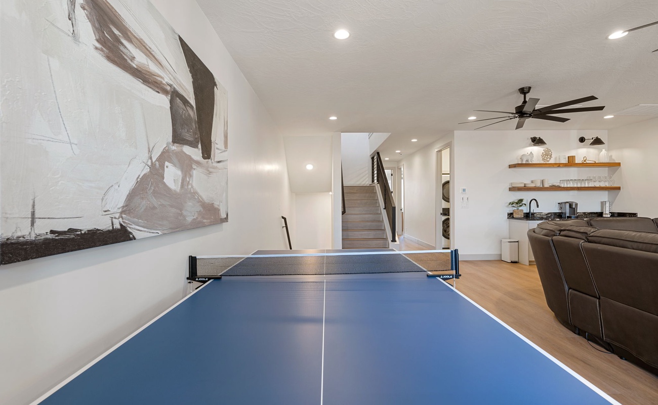 Ping Pong Table