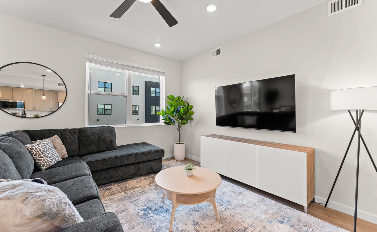 Living Room / Queen Sofa Sleeper