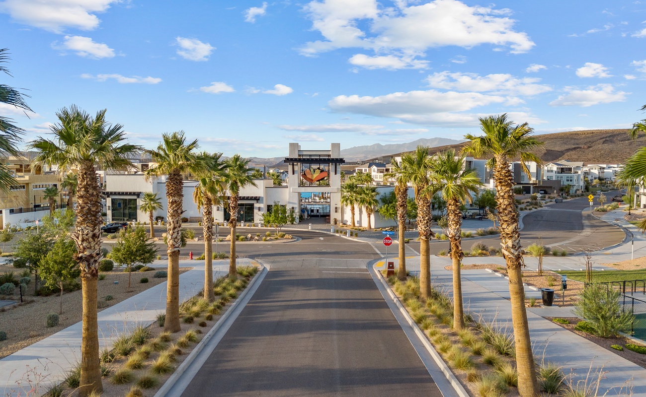 Desert Color Entrance
