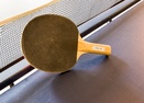 Ping Pong in Garage-Big Leaf 18