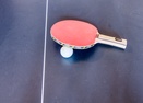 Ping Pong in Garage-Topflite 28