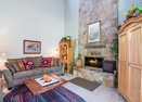 Living Room w/ Wood Fireplace-Virginia Rail 4