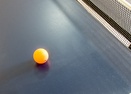 Ping Pong in Garage-Virginia Rail 4