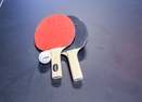 Ping Pong in Garage-Trailmere Circle 56294