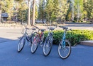 Bikes-Oregon Loop 40