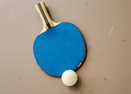 Ping Pong Table in Garage-Camas 16